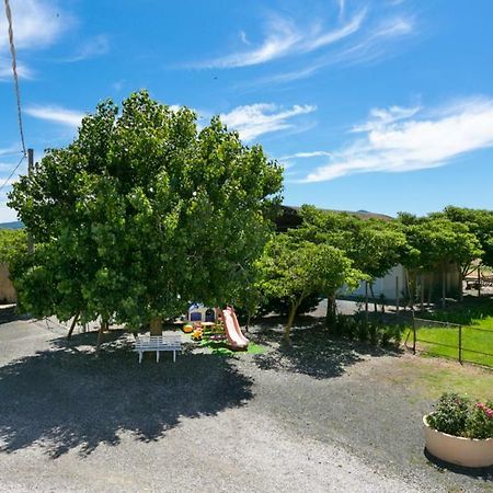 Agriturismo Case Nuove Castellina Marittima Ngoại thất bức ảnh