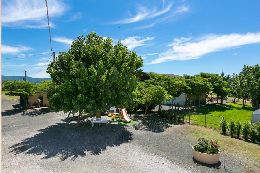 Agriturismo Case Nuove Castellina Marittima Ngoại thất bức ảnh